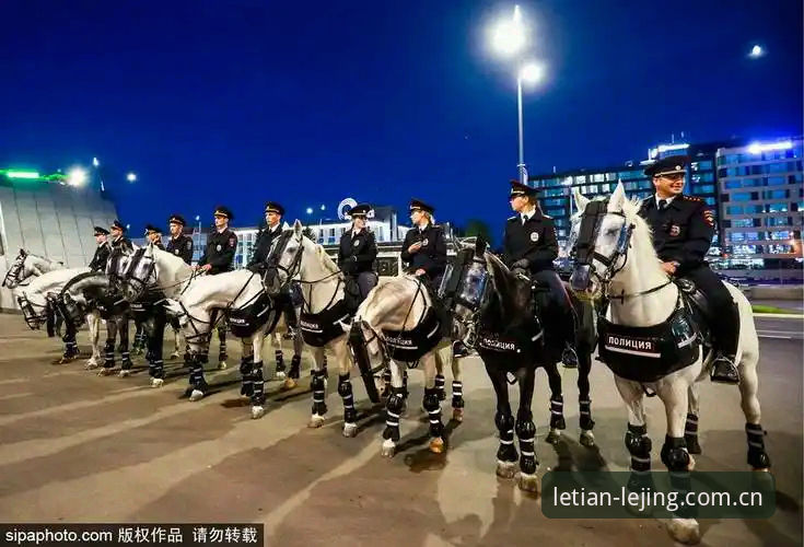 乐竞高品质互动 世界杯安保策略调整完整解读:从英国警员人数变化看国际赛事管理新趋势